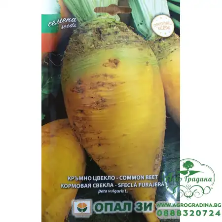 Кръмно цвекло