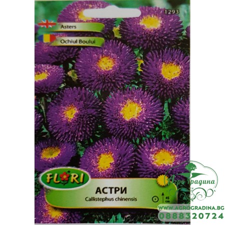 Астри - синьо