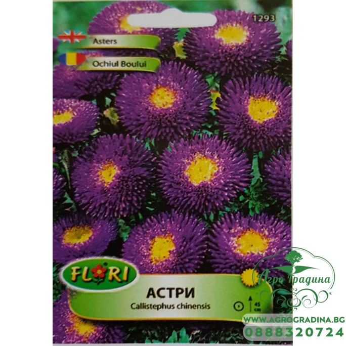 Астри - синьо