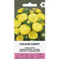 Астри Жълти Цветен килим Callistephus chinensis L Ness Colour Carpet