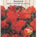 Семена за каскадна Бегония червена / Begonia tuberhybrida pendula