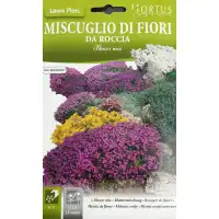 Цветя микс за алпинеуми