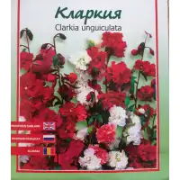 Кларкия Clarkia unguiculata