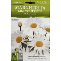 Маргаритка Многогодишна Гигант Bellis Perennis