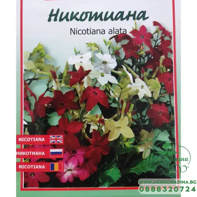 Никотиана микс