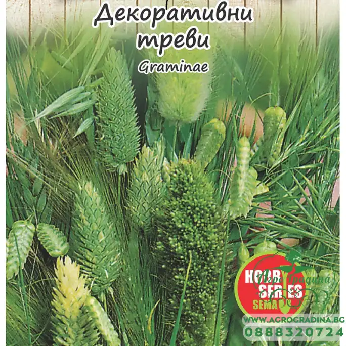 Семена за Декоративни треви Graminae