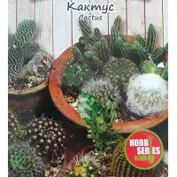Кактус микс Cacyus mix