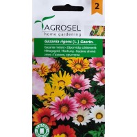 Газания Микс / Gazania rigens (L) Gaertn