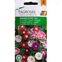 Ипомея (Поветица) Трицветна Mикс Ipomoea tricolor Cav