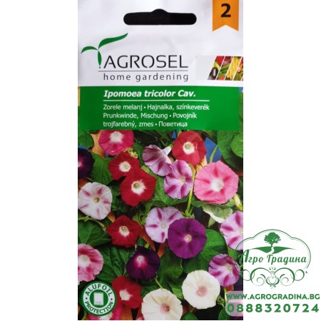 Ипомея (Поветица) Трицветна Mикс / Ipomoea tricolor Cav