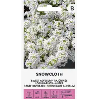 Алисум бял Lobularia maritima