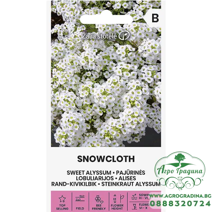 Алисум бял Lobularia maritima Алисум бял Lobularia maritima