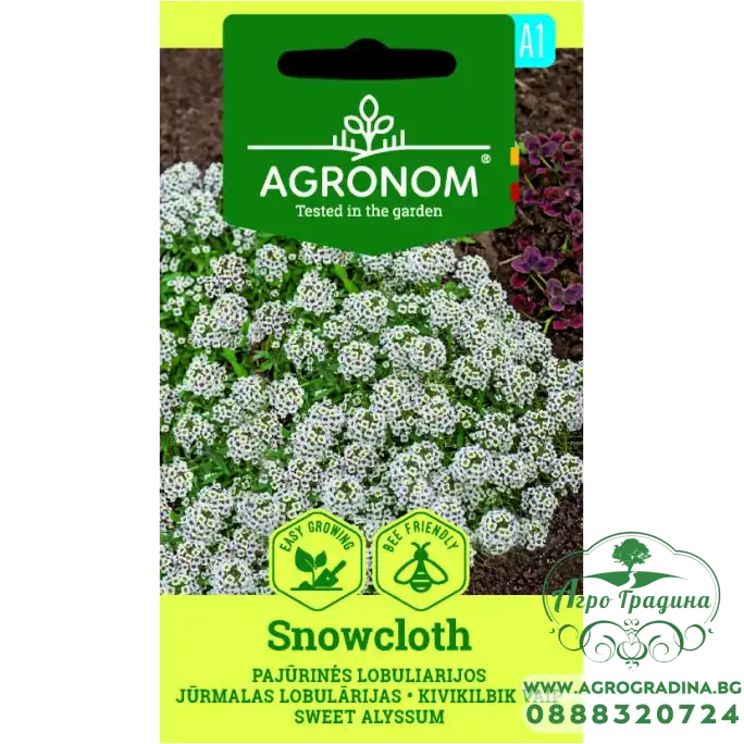 Алисум Бял Lobuliaria maritima (L.) Desv.