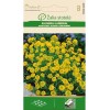 Алисум жълт Alyssum montanum