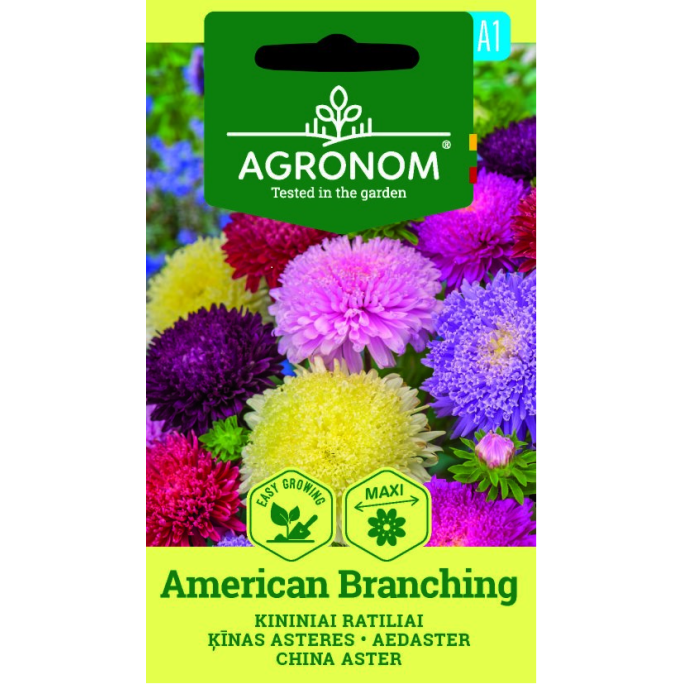 Астри Американ Брънчинг / American Branching