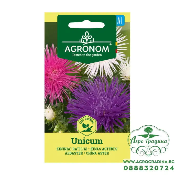 Астри Игловидни Микс Уникум Callistephus chinensis L Ness Unicum