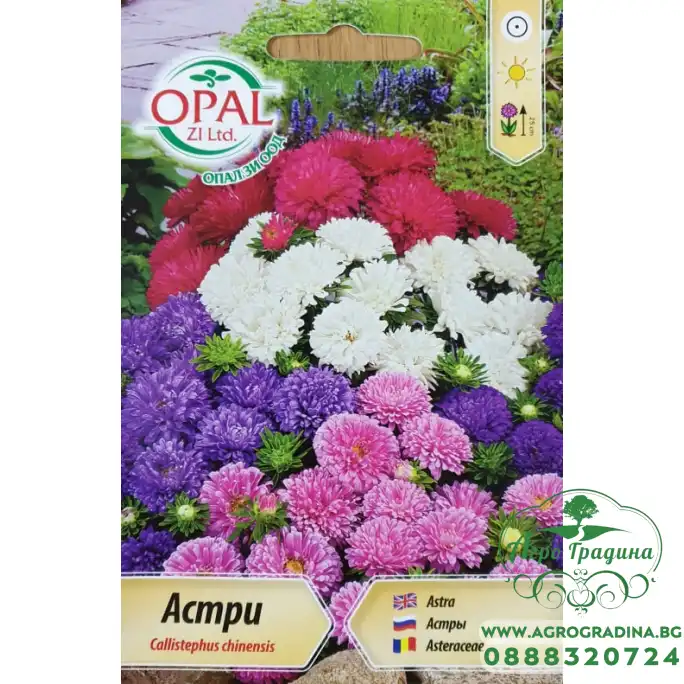 Астри Мини Микс