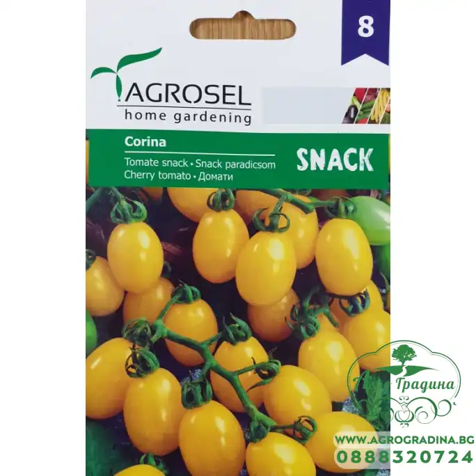 Домат Корина (жълти) тип чери
