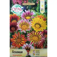 Газания микс