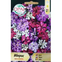 Иберис Микс Iberis umbellata