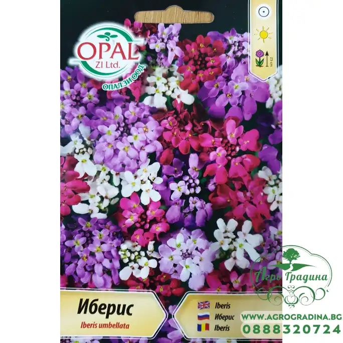 Иберис Микс Iberis umbellata