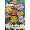 Мимулус Mimulus tigrinus