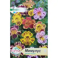 Мимулус Mimulus tigrinus