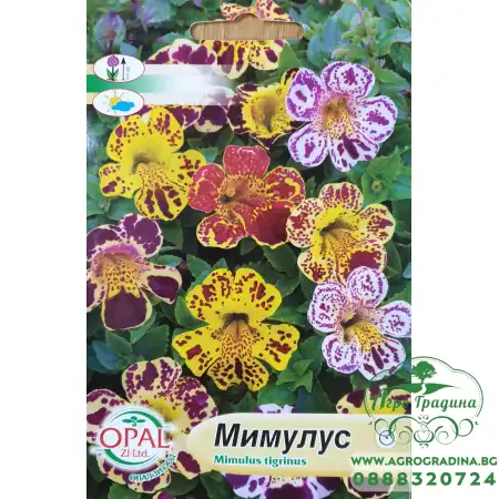 Мимулус Mimulus tigrinus