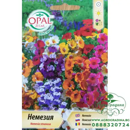 Немезия Nemesia strumosa