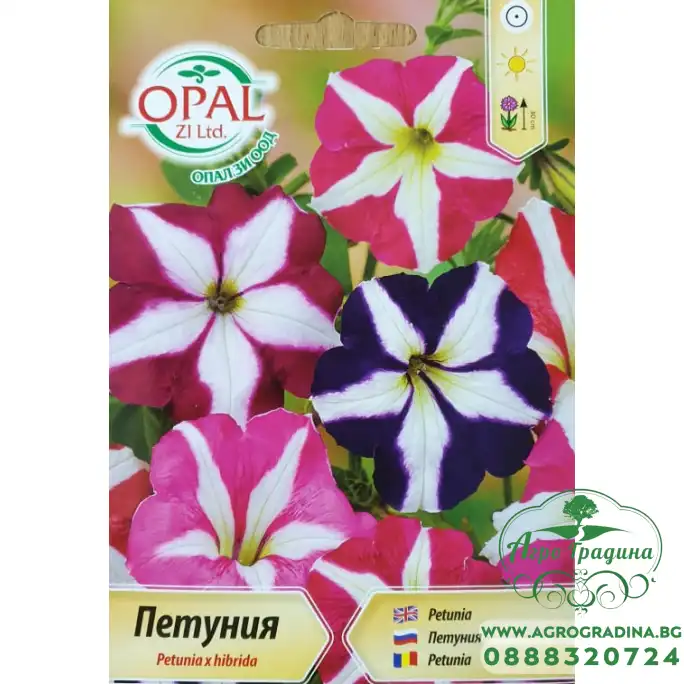 Петуния Звезда Petunia x hybrida