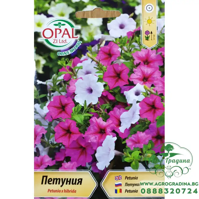 Петуния балконна (каскадна)