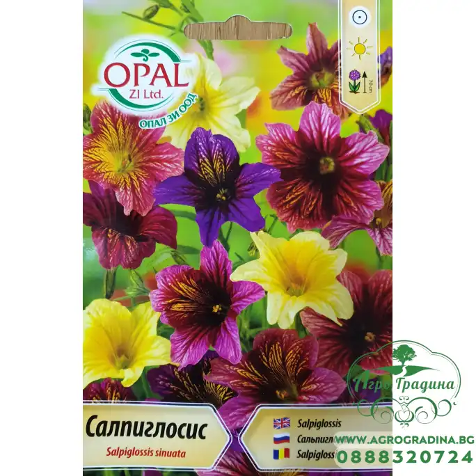 Салпиглосис микс Salpiglossis sinuata