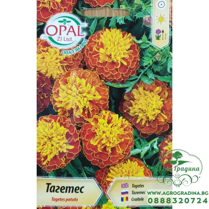 Тагетес микс