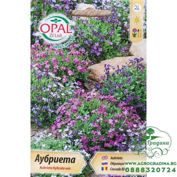 Аубриета микс Aubrieta hubrida mix