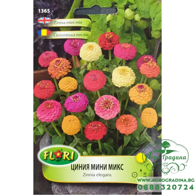 Циния мини микс