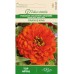 Циния оранжева Orange King Zinnia elegans dahlienflora