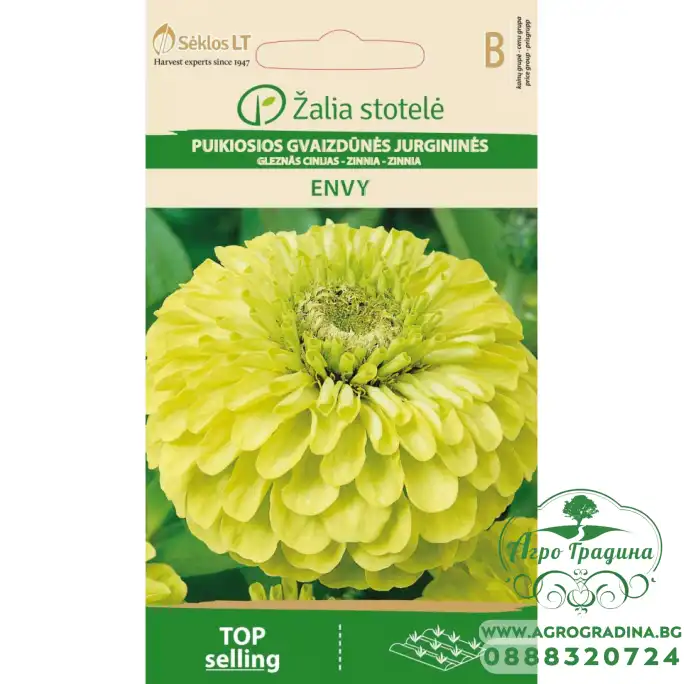 Циния резеда Zinnia elegans dahlienflora