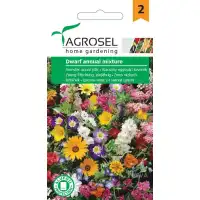 Цветен микс от ниски цветя Dwarf annual mixture