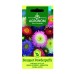 Астри двуцветни Микс Букет пудрички Callistephus chinensis L Ness Bouquet powderpuffs
