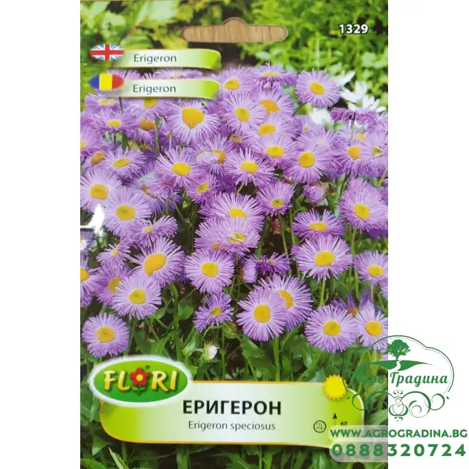 Семена от Еригерон Erigeron speciosus