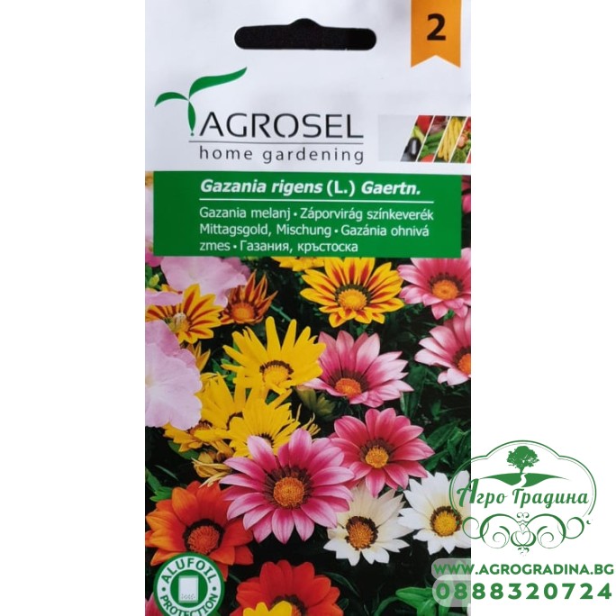 Газания Микс Gazania rigens (L) Gaertn Газания Микс Gazania rigens (L) Gaertn
