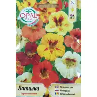 Латинка ниска микс