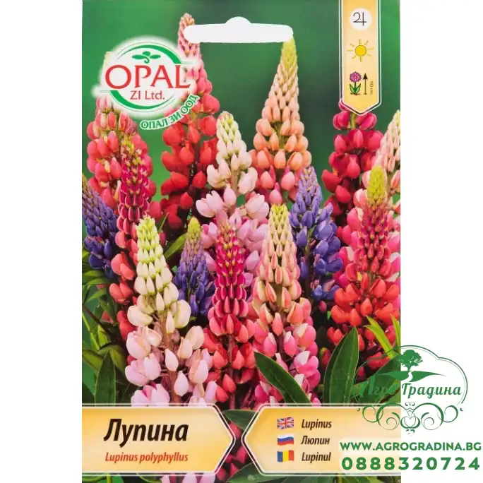 Лупина микс Lupinus poliphyllus
