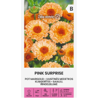 Медицински Невен Pink Surprise Calendula officinalis