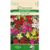 Никотиана (Тютюнево цвете) Микс Sensation Nicotiana alata Link et Otto