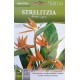 Семена от Стрелиция / Strelitzia