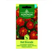Тагетес червен Red Brocade