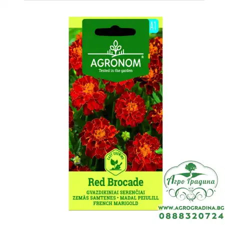 Тагетес червен Red Brocade