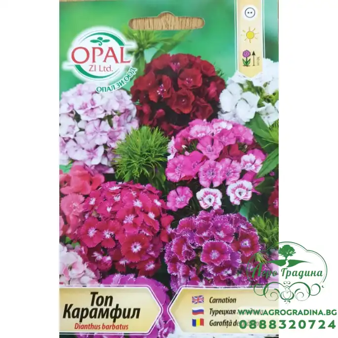 Топ Карамфил микс