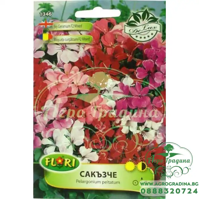 Пеларгониум (Сакъзче) микс за балкон Pelargonium peltatum mix
